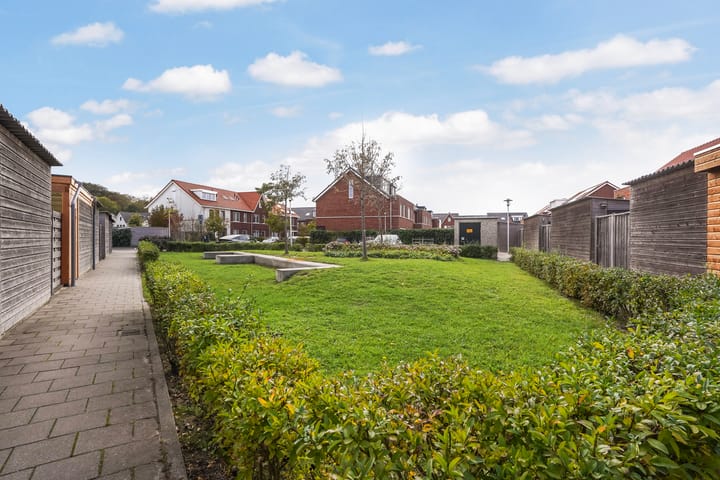 Photo 20 of Icarusblauwtje 35