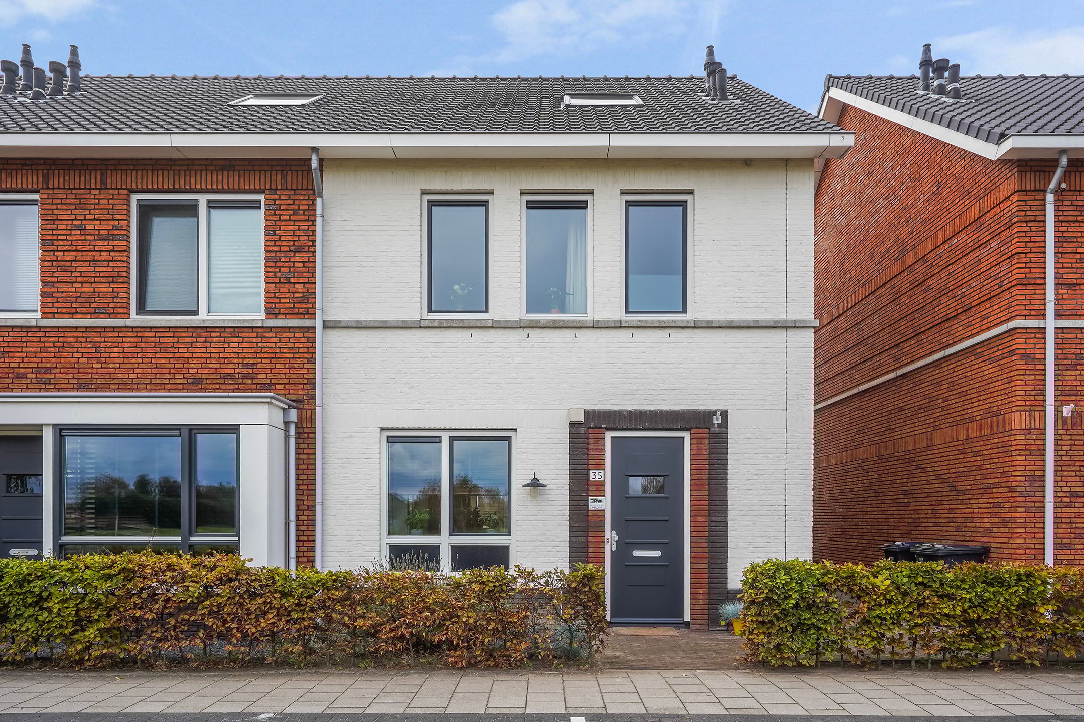 Foto 48 van Icarusblauwtje 35