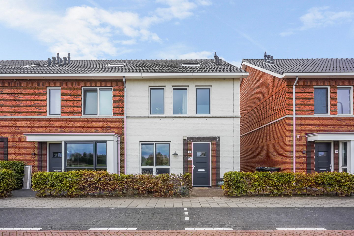 Foto 49 van Icarusblauwtje 35