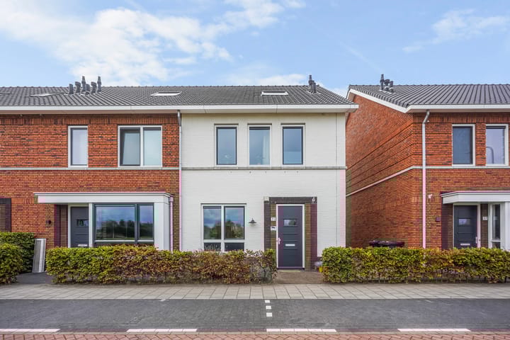 Photo 49 of Icarusblauwtje 35