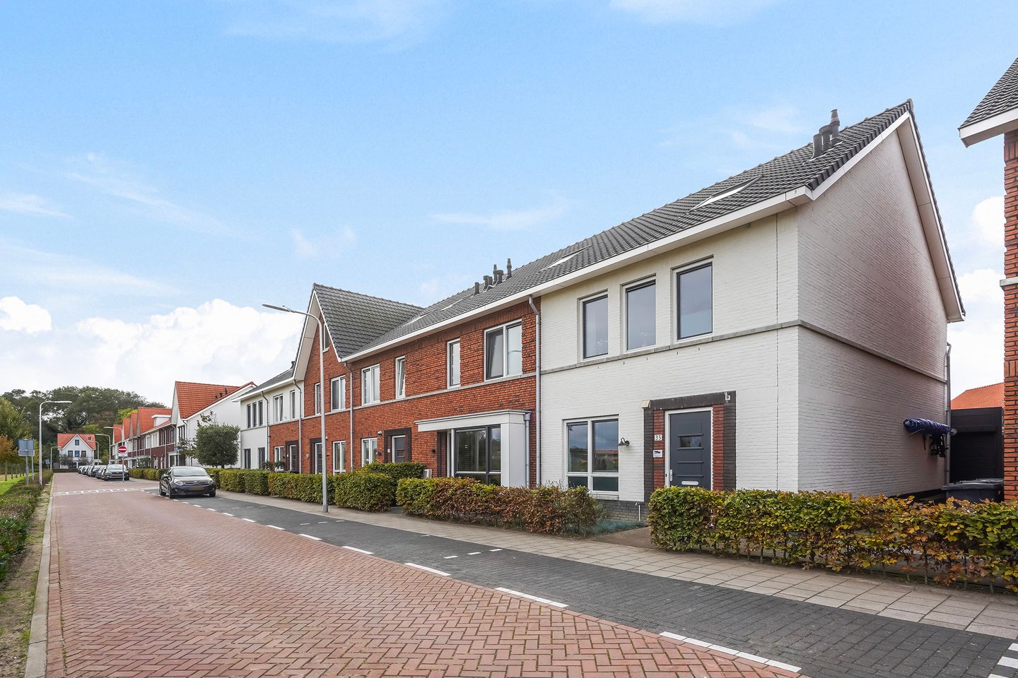 Foto 50 van Icarusblauwtje 35