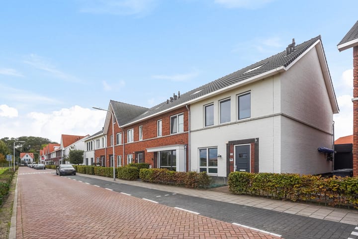 Photo 50 of Icarusblauwtje 35