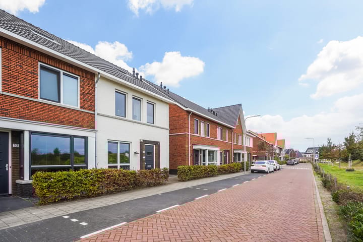 Photo 51 of Icarusblauwtje 35