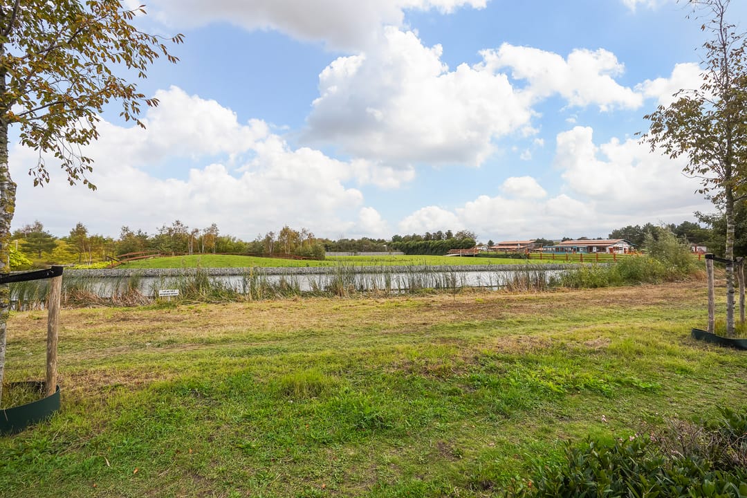 Foto 52 van Icarusblauwtje 35