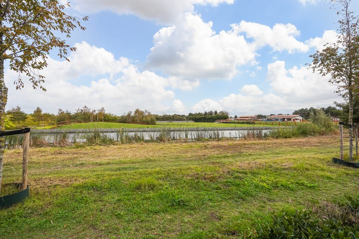 Photo 52 of Icarusblauwtje 35