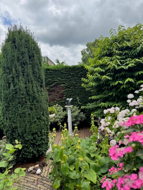 Foto 34 van Larixplantsoen 30