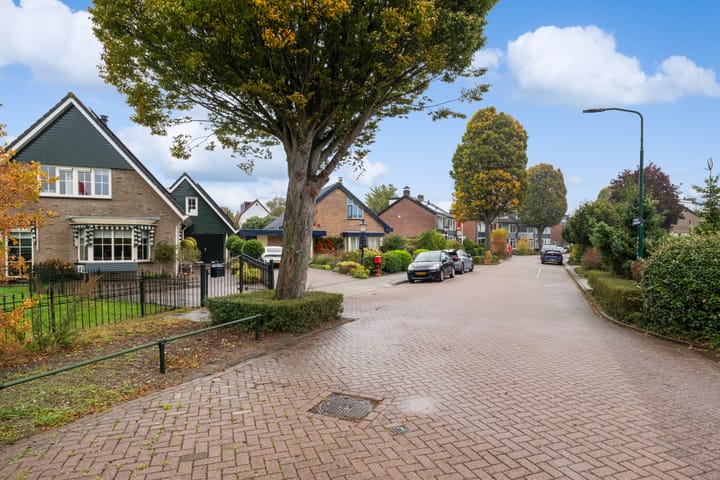 Foto 47 van Strick van Linschotenstraat 92