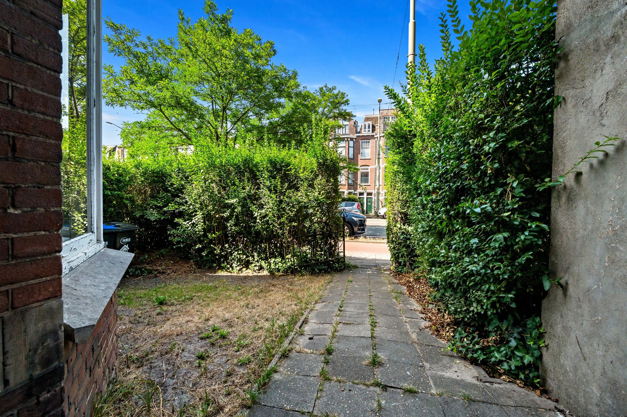 Foto 6 van Laan van Nieuw-Oost-Indië 238