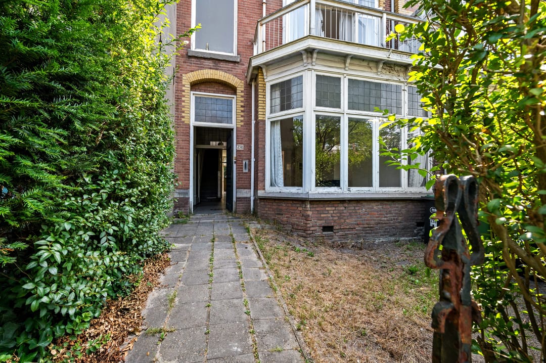 Foto 7 van Laan van Nieuw-Oost-Indië 238