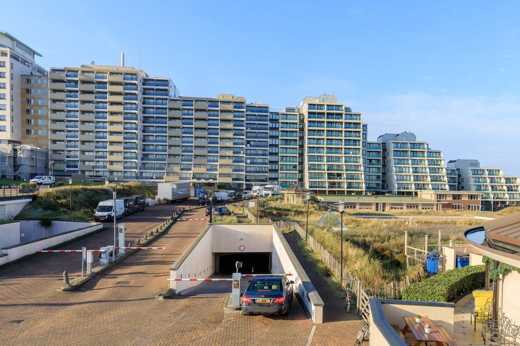 Foto 2 van Duinroos 36