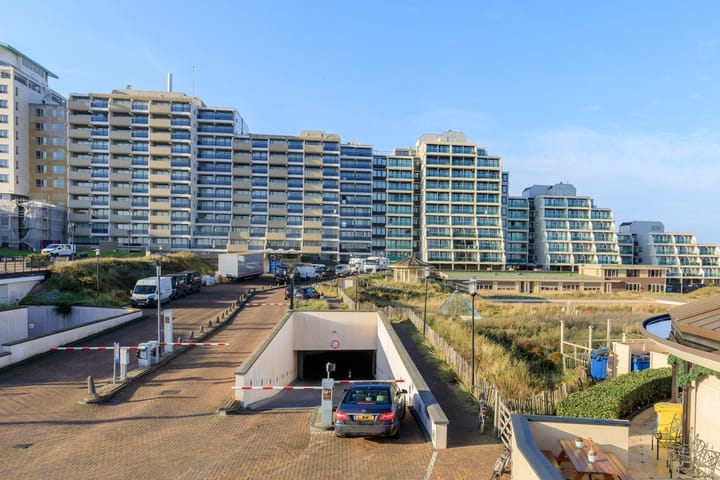 Foto 2 van Duinroos 36