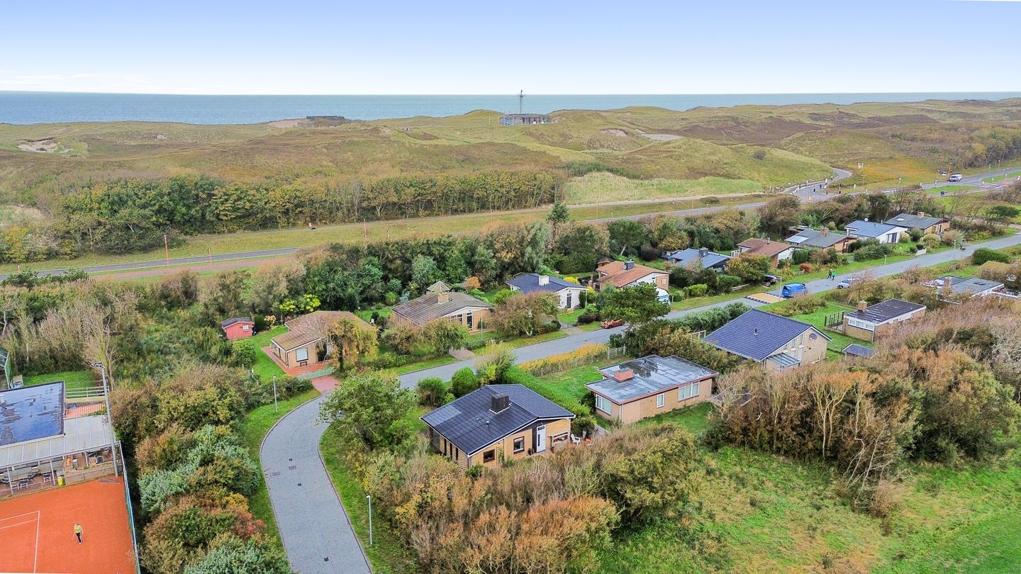 Photo 1 of Parnassia 13