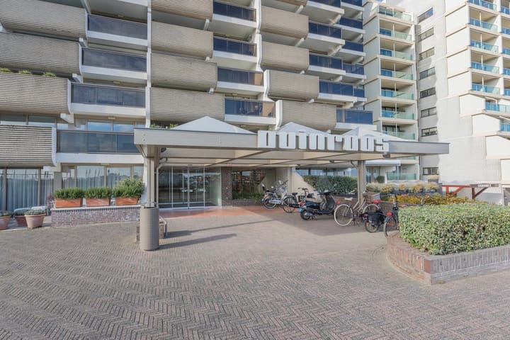 Foto 3 van Duinroos 36