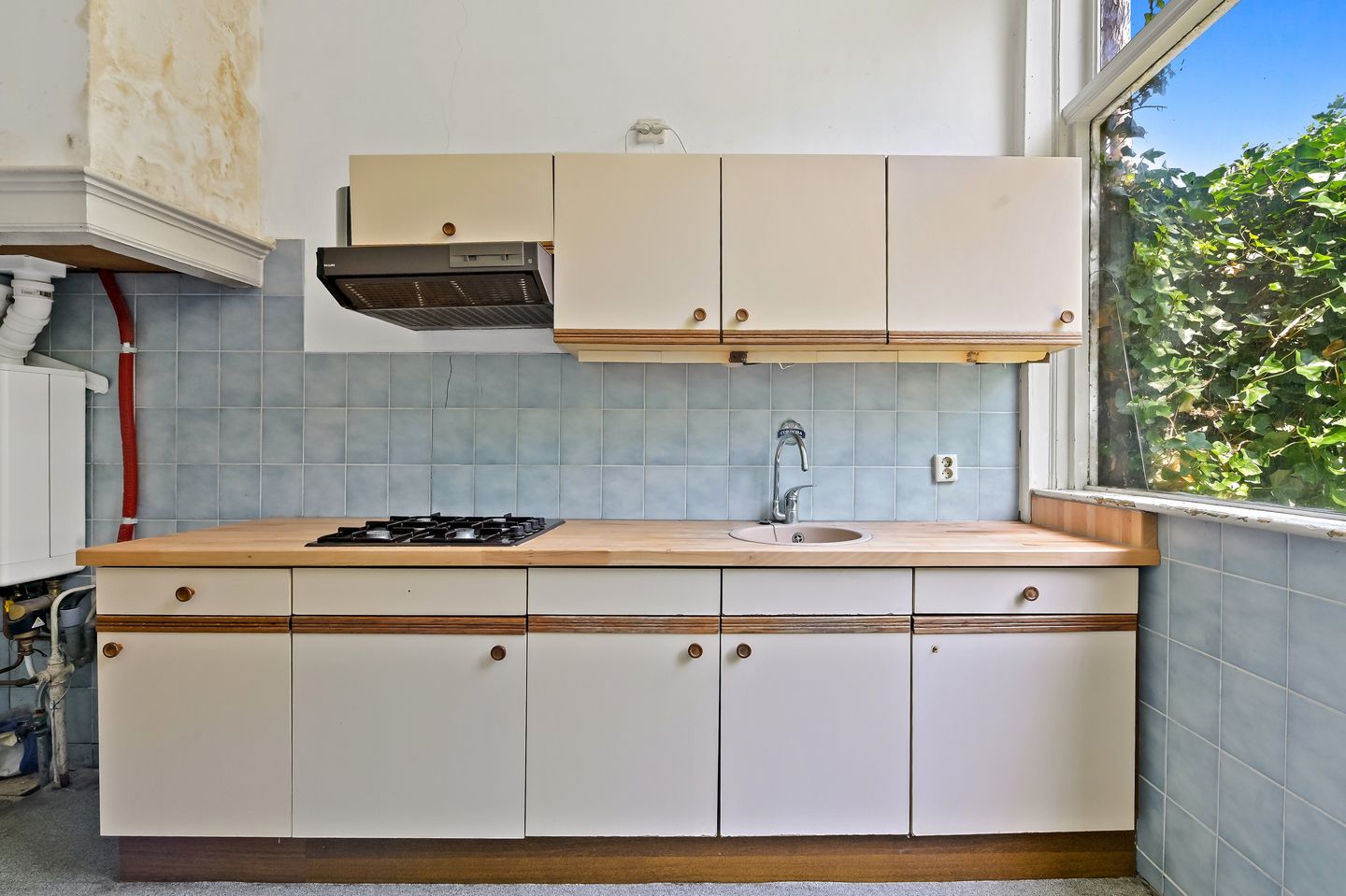 Foto 20 van Laan van Nieuw-Oost-Indië 238