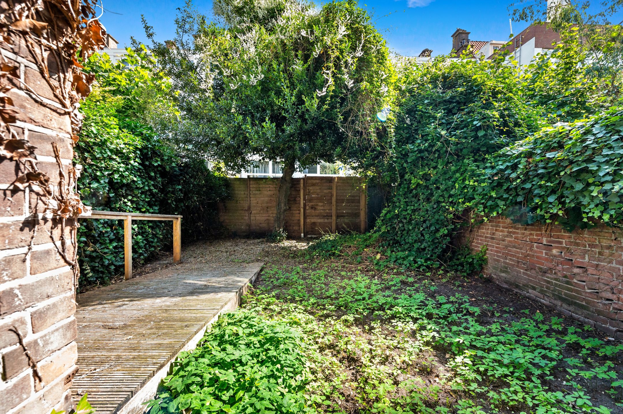 Foto 21 van Laan van Nieuw-Oost-Indië 238