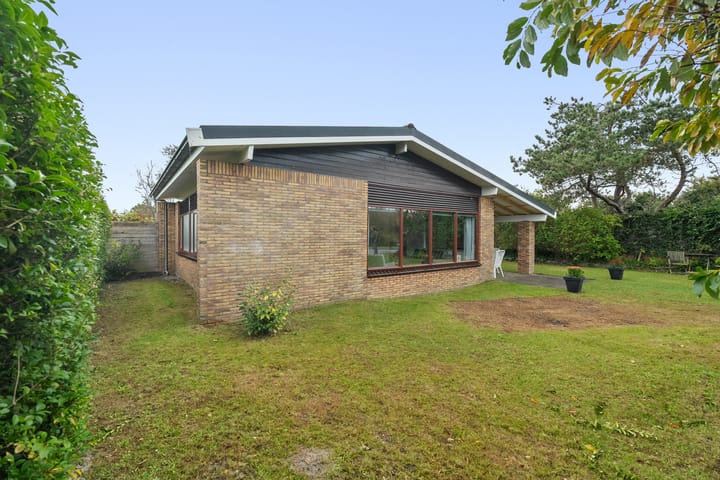 Photo 3 of Parnassia 13