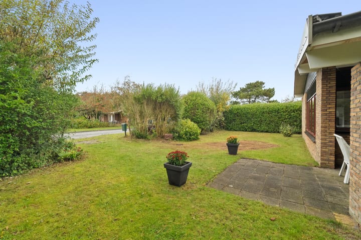 Photo 4 of Parnassia 13