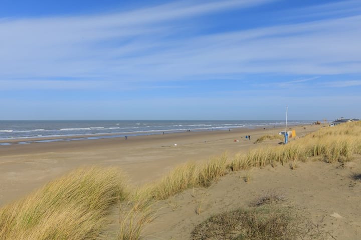 Foto 29 van Duinroos 36