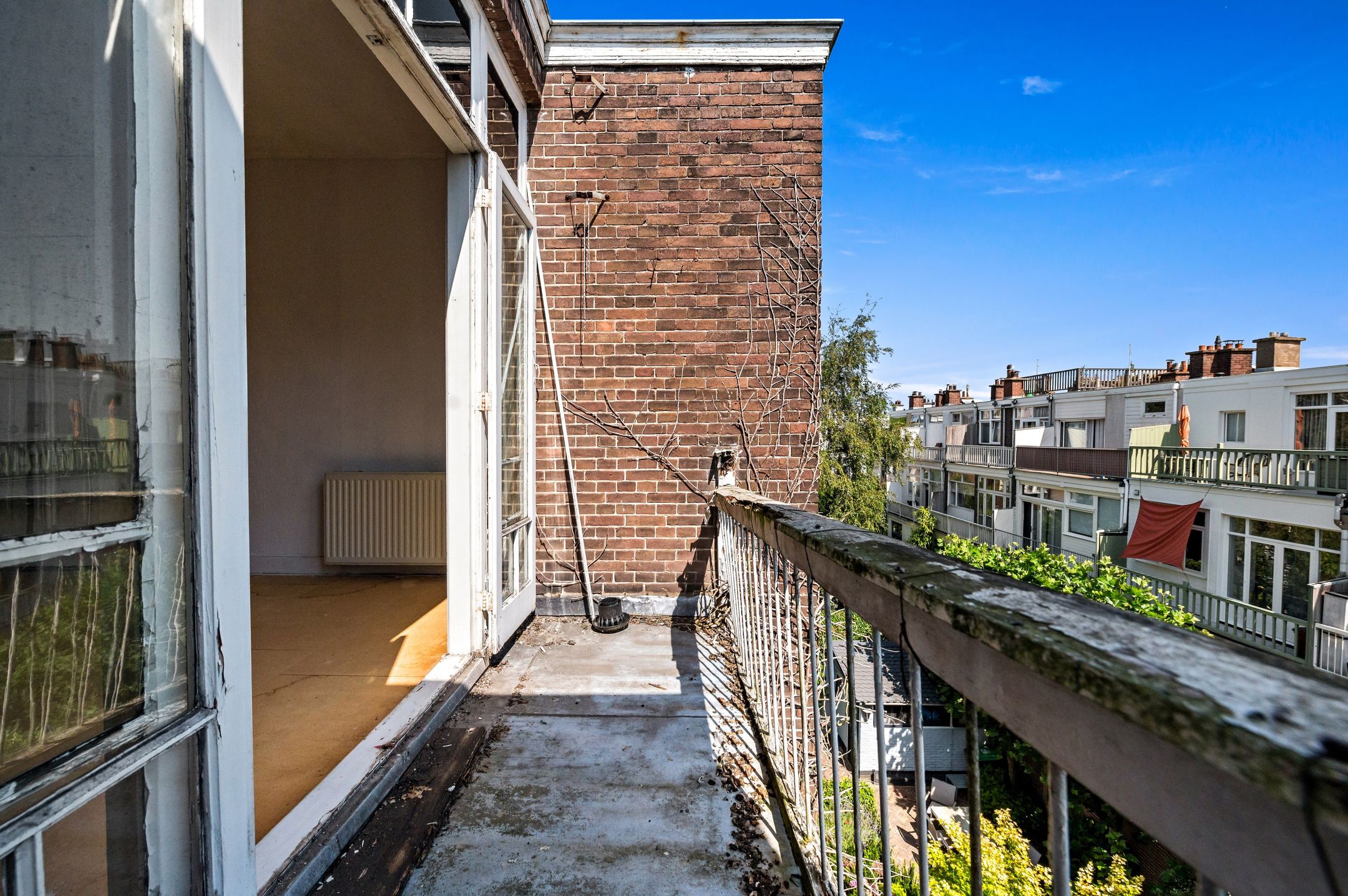 Foto 66 van Laan van Nieuw-Oost-Indië 238