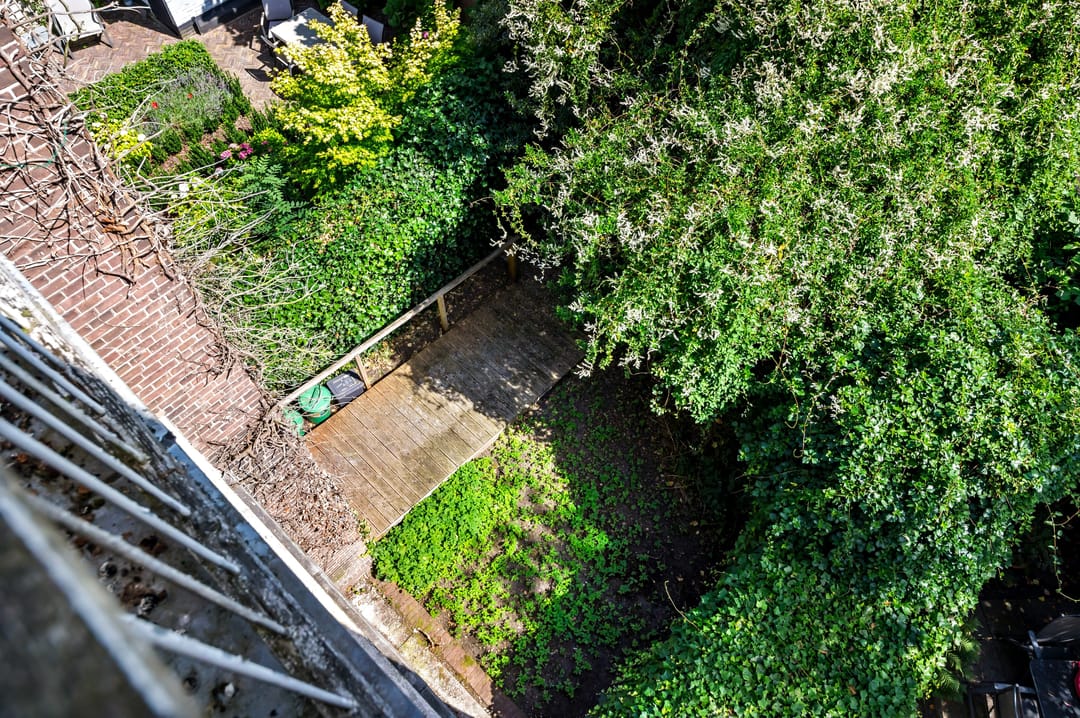 Foto 67 van Laan van Nieuw-Oost-Indië 238