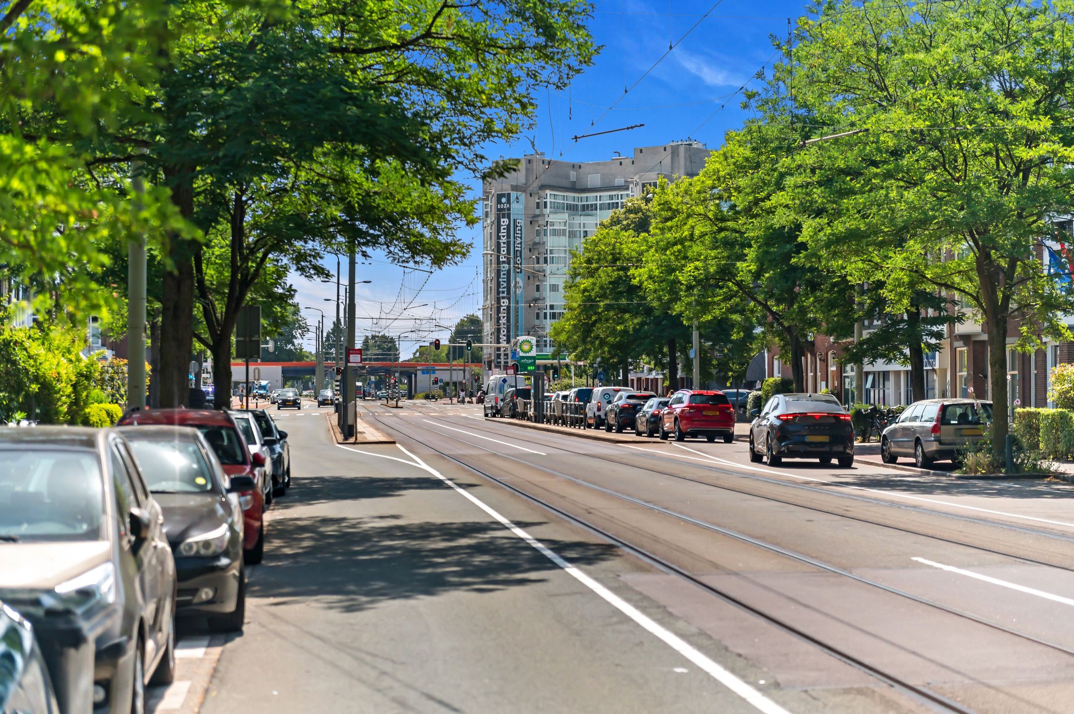 Foto 69 van Laan van Nieuw-Oost-Indië 238