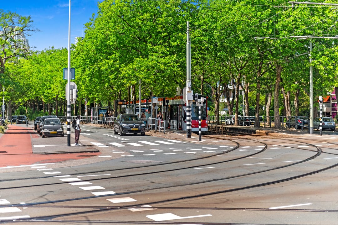 Foto 73 van Laan van Nieuw-Oost-Indië 238