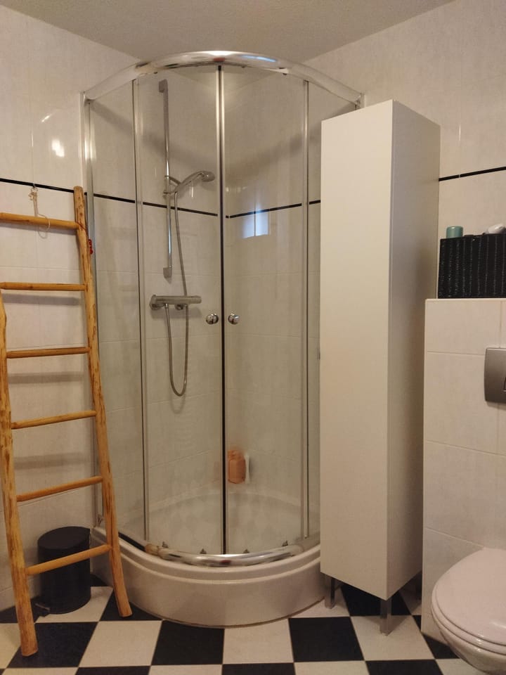 Foto 8 van Rooseveltstraat 110