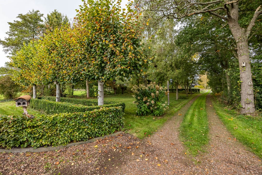 Foto 8 van Schapenweg 14