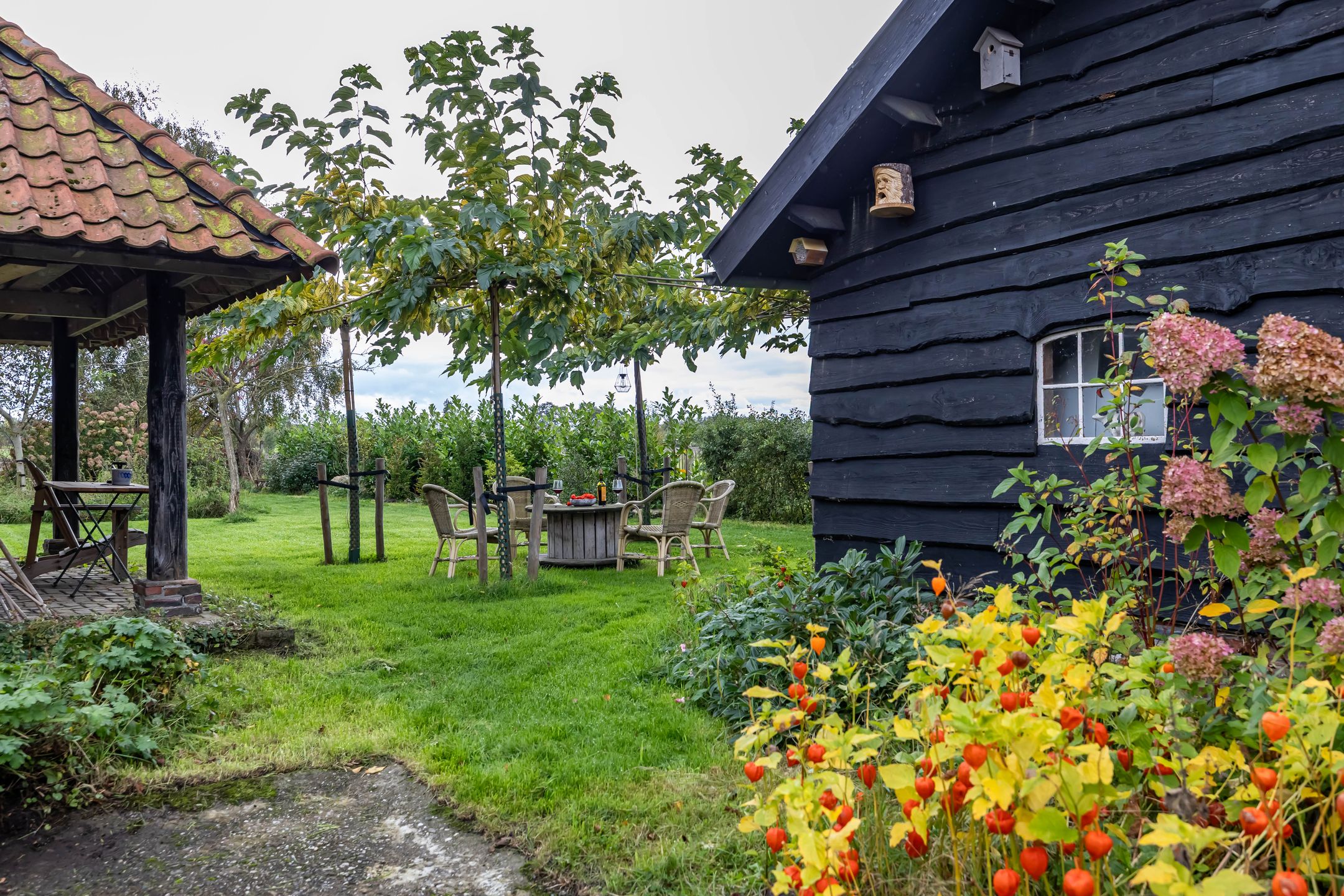 Foto 39 van Schapenweg 14