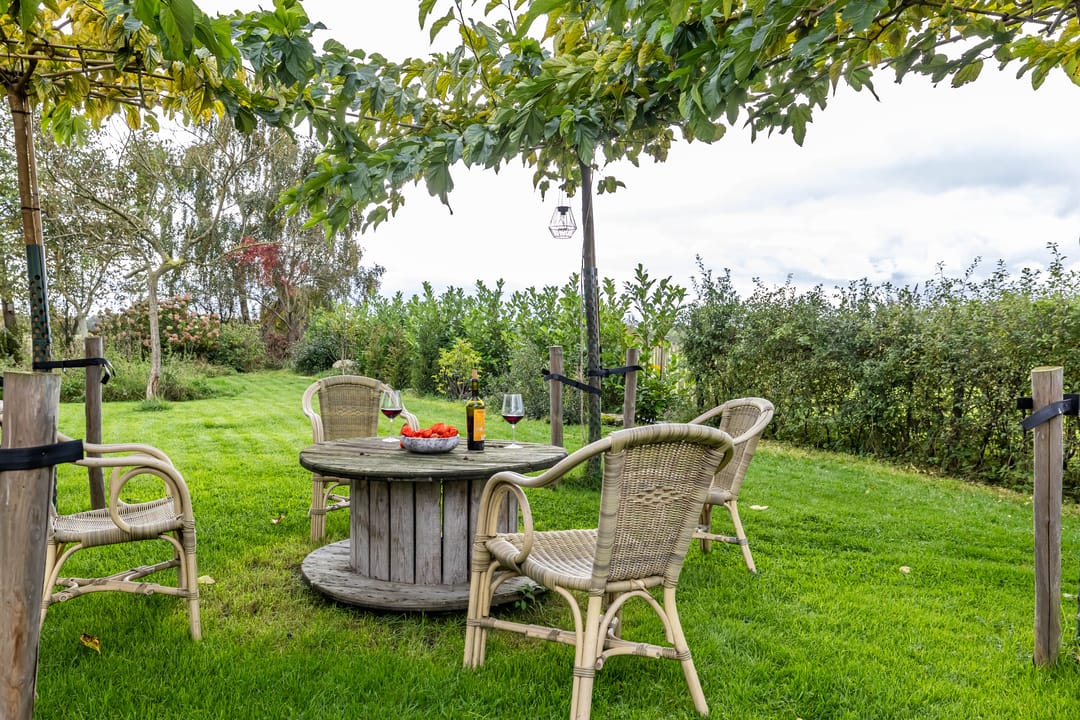 Foto 41 van Schapenweg 14