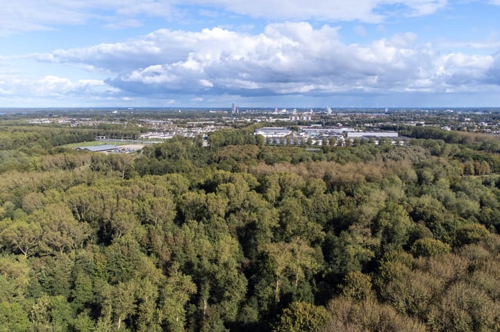 Foto 36 van Izanamistraat 23