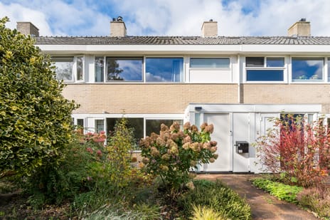 undefined main image