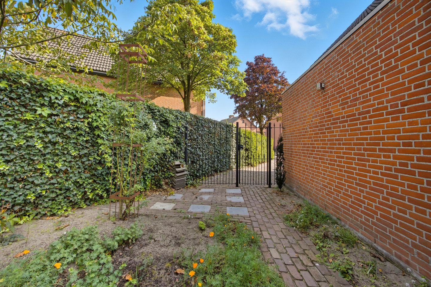 Photo 65 of Lindenplantsoen 46