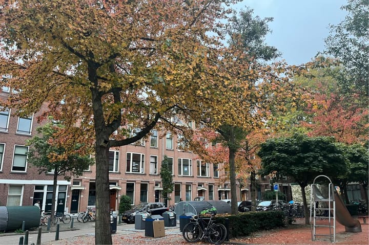 Photo 55 of Van Weelstraat 36-A