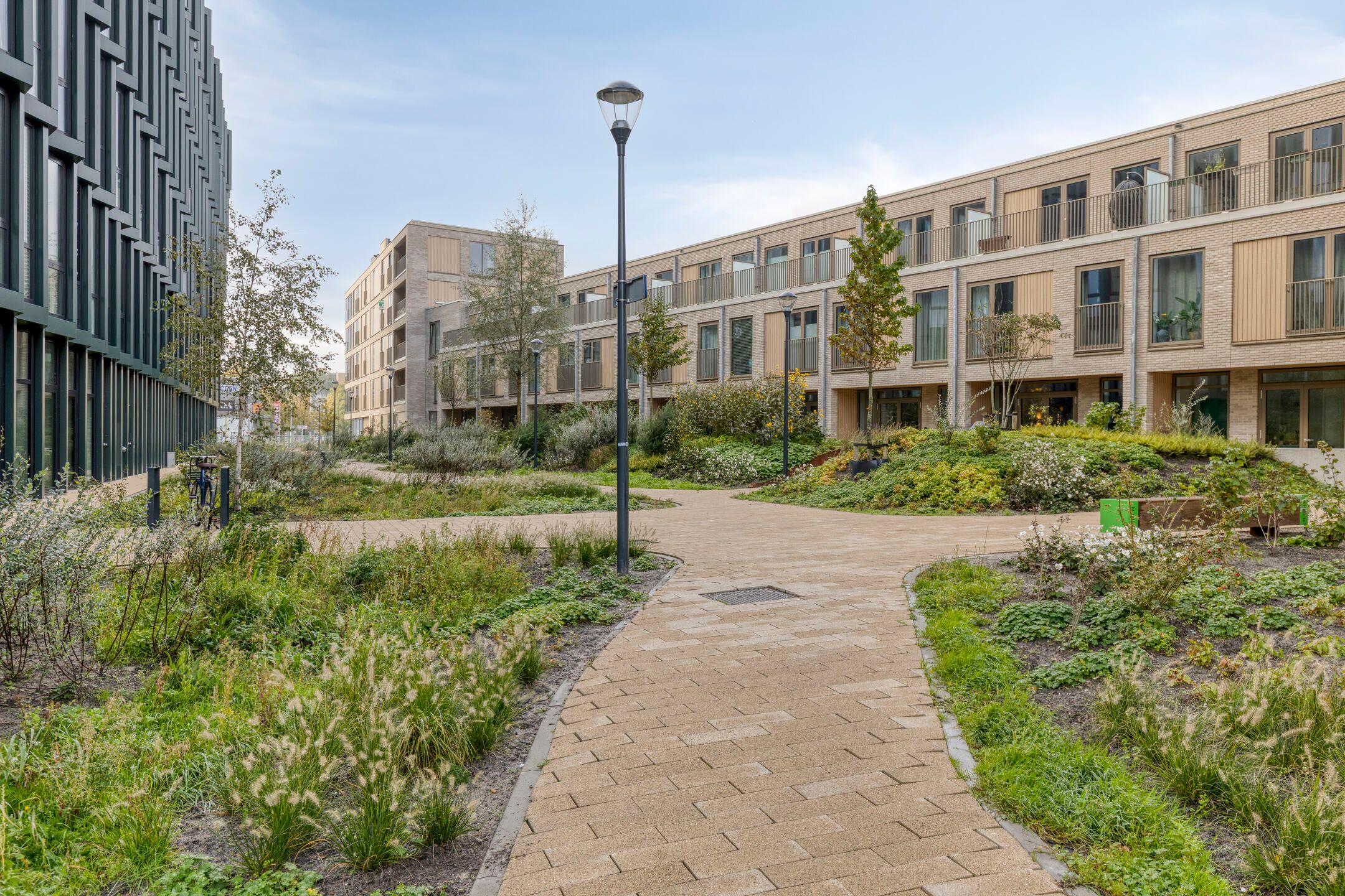 Photo 33 of Surinamepad 176