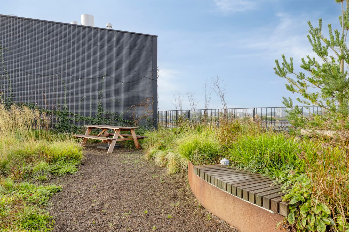 Photo 35 of Surinamepad 176