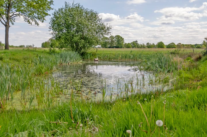 Photo 36 of Kibbelstuk 8