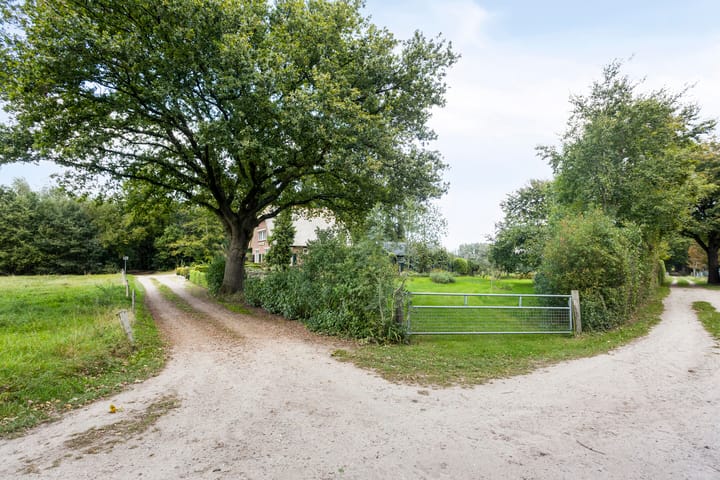 Foto 63 van Hallsedijk 14