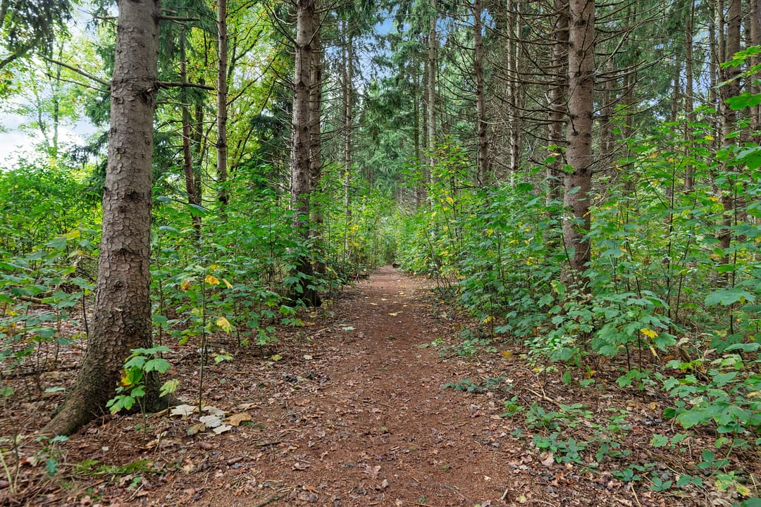 Photo 53 of Zuiderweg 54