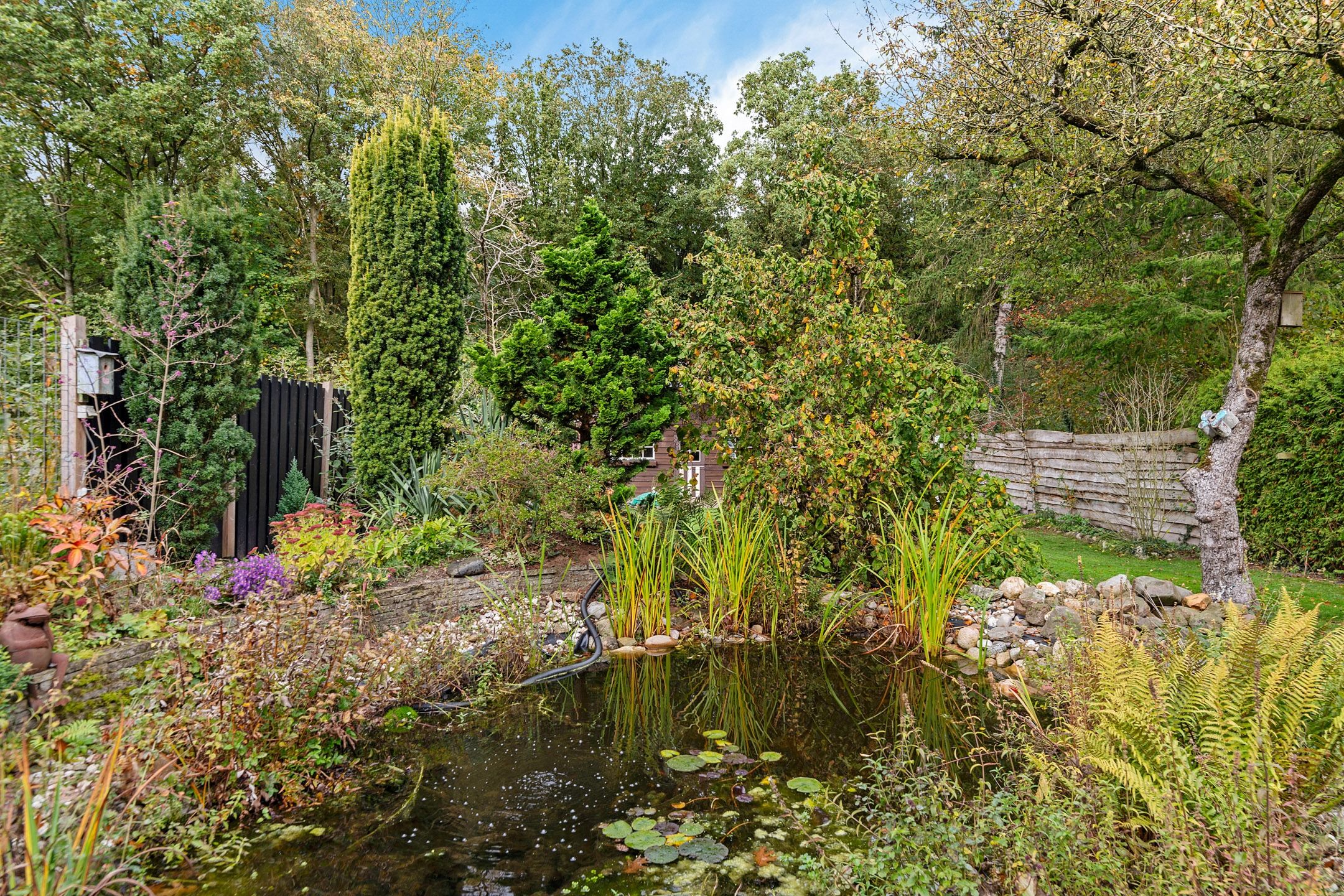 Photo 57 of Zuiderweg 54