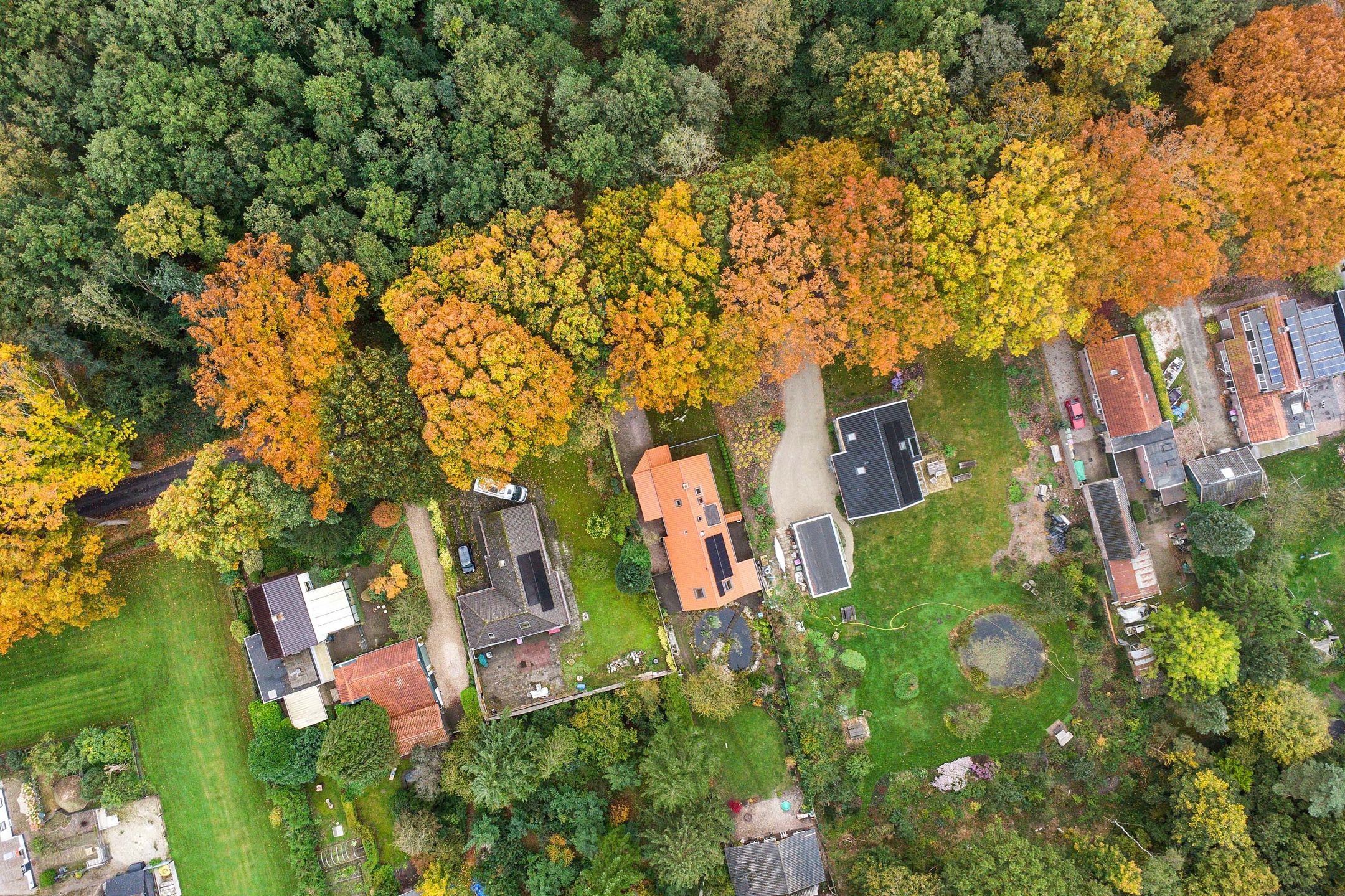 Photo 63 of Zuiderweg 54