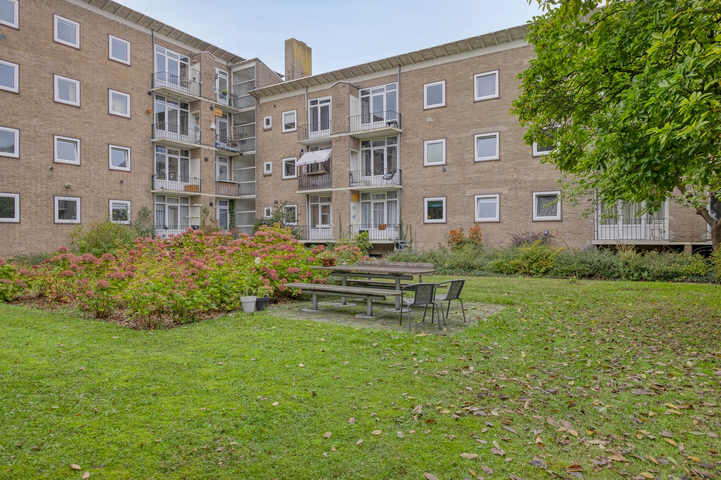 Foto 25 van Oude Wed 23