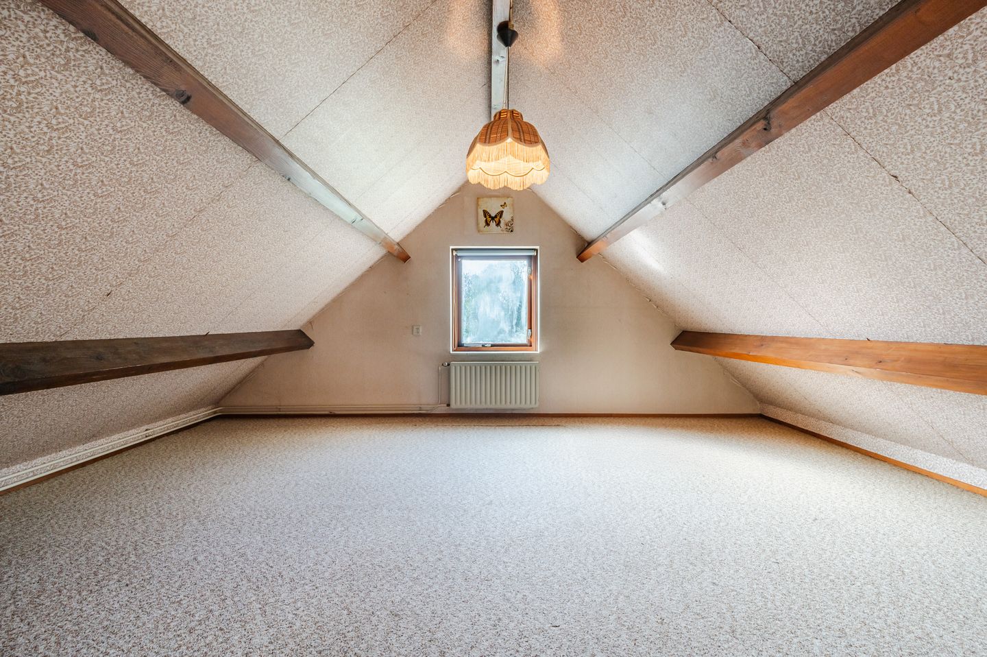 Foto 50 van Zwaluw 18