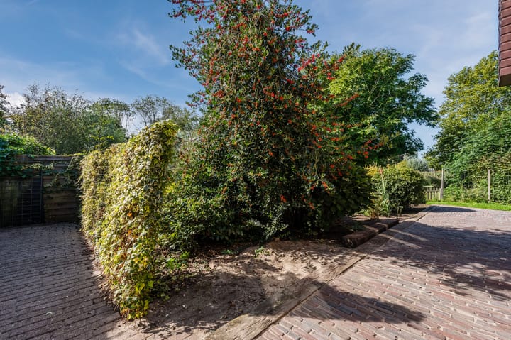 Photo 53 of Zwaluw 18