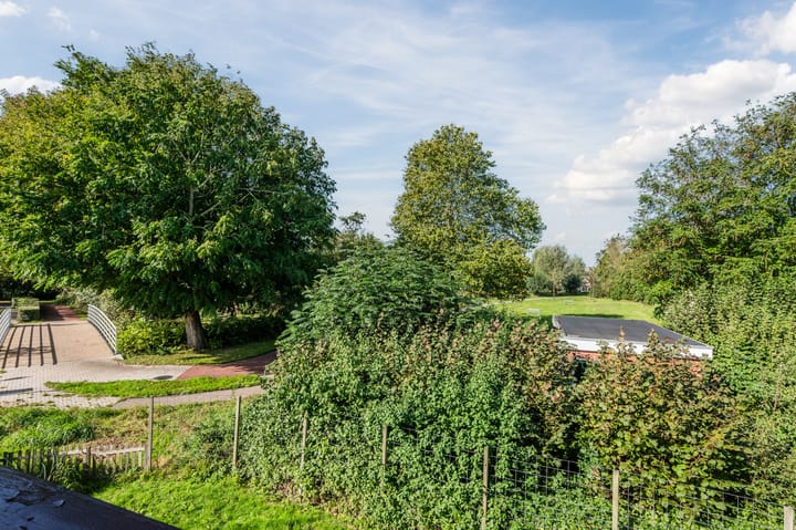 Photo 54 of Zwaluw 18