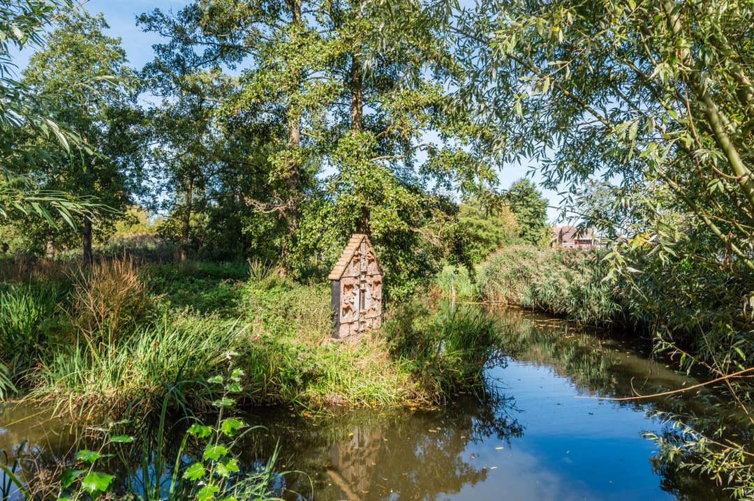 Foto 61 van Zwaluw 18