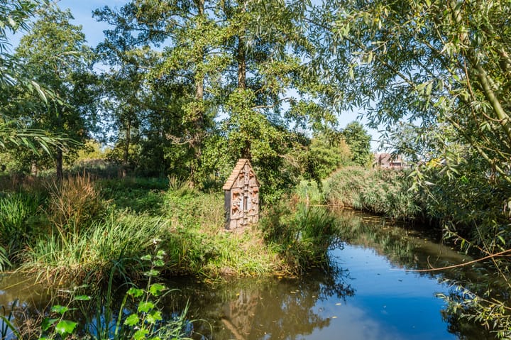 Photo 61 of Zwaluw 18