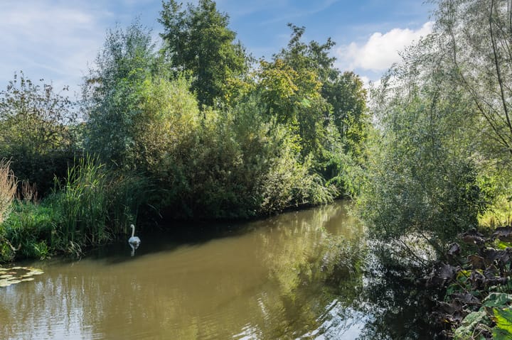 Photo 62 of Zwaluw 18