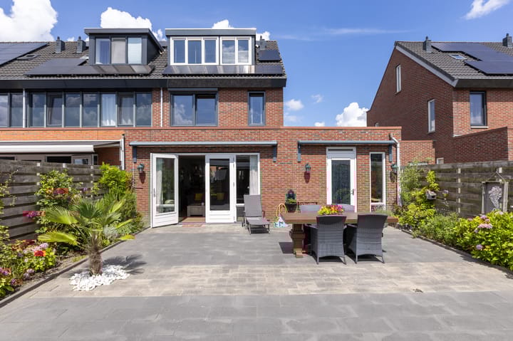 Foto 2 van Scholekster 9