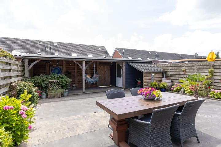 Foto 4 van Scholekster 9